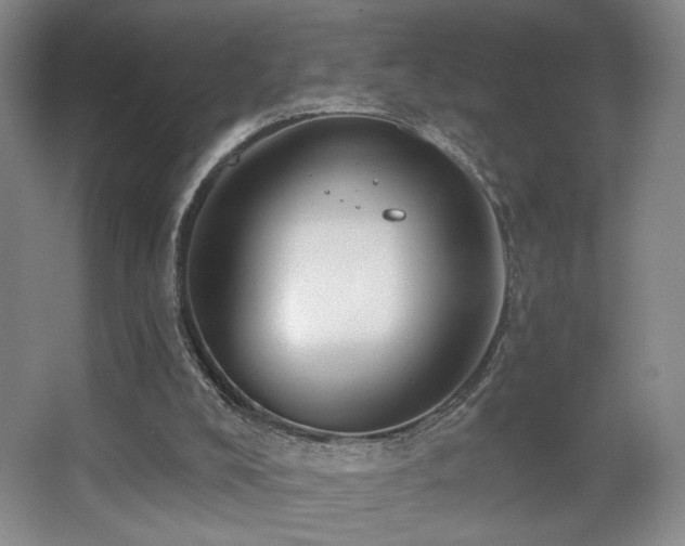 X0000067330008200603311112
