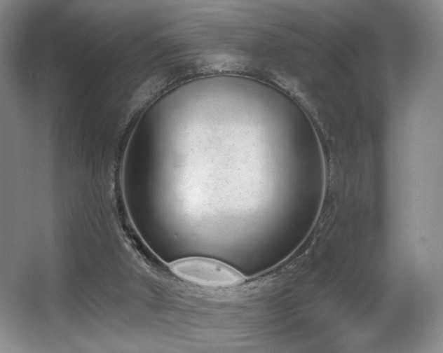 X0000067330010200603311112