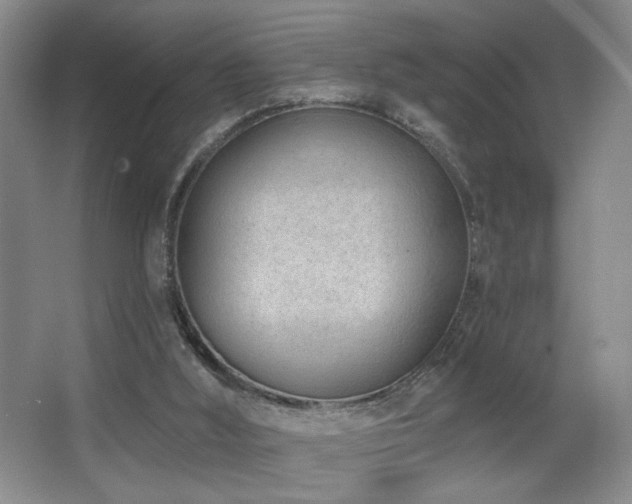 X0000067330012200603311112