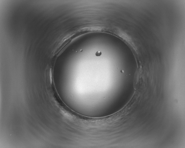 X0000067330013200603311112
