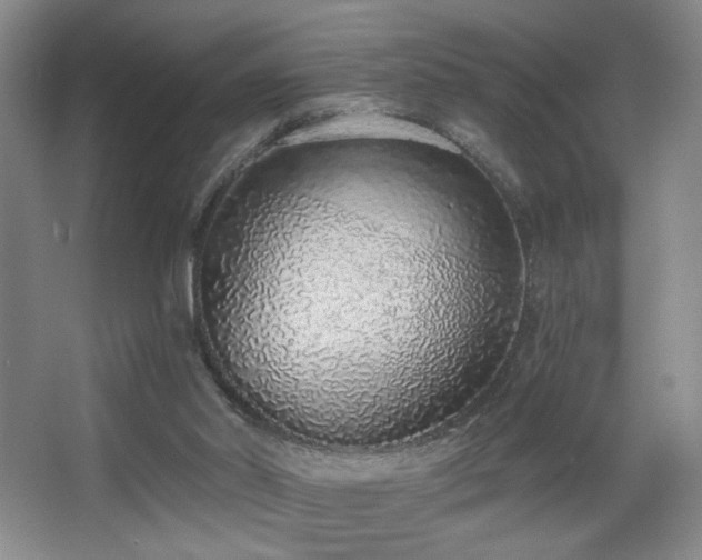 X0000067330014200603311112