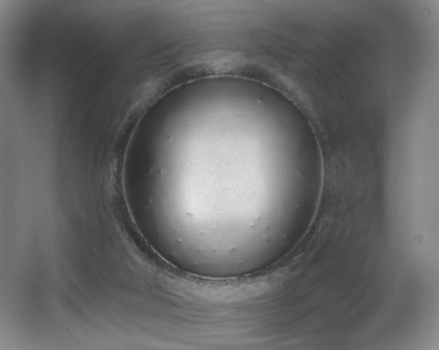 X0000067330018200603311112