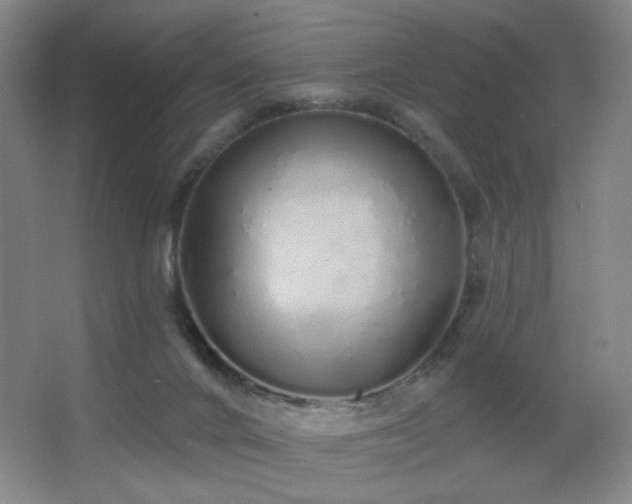 X0000067330024200603311112
