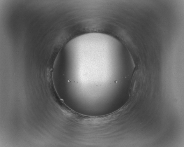 X0000067330025200603311112