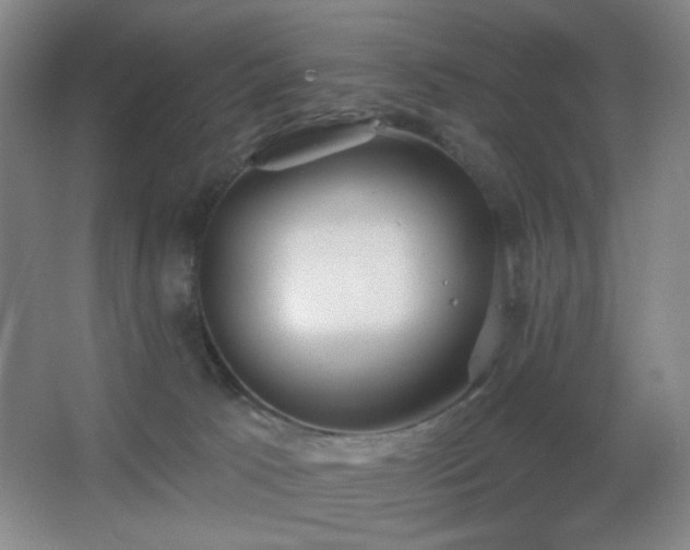 X0000067330033200603311112