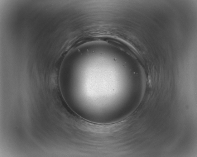 X0000067330035200603311111