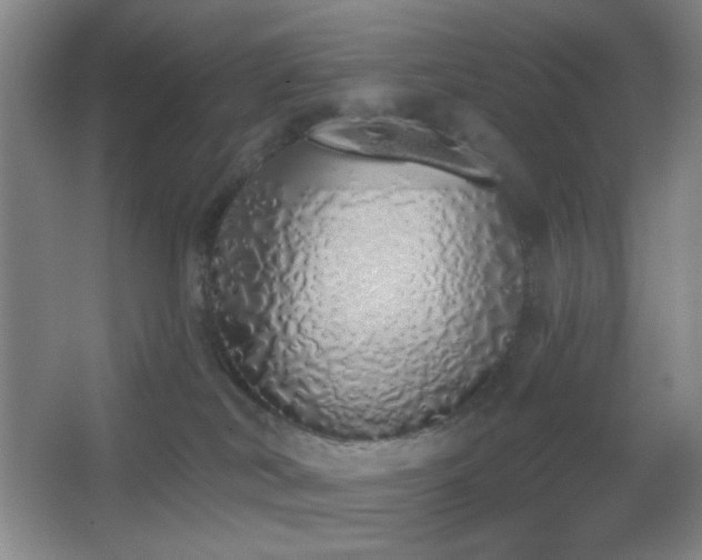 X0000067330038200603311111