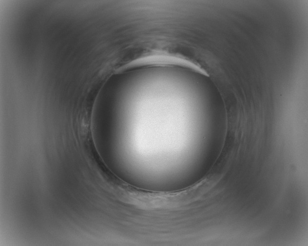 X0000067330040200603311111