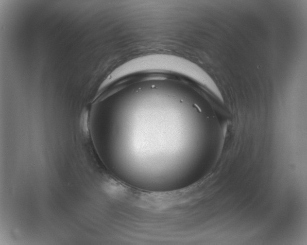 X0000067330041200603311111