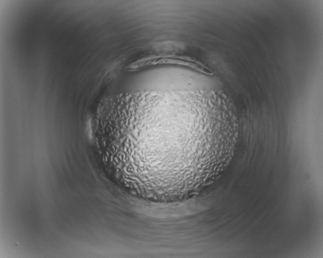 X0000067330042200603311111