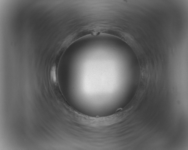 X0000067330046200603311111