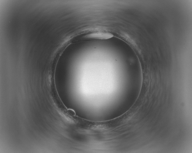 X0000067330063200603311111