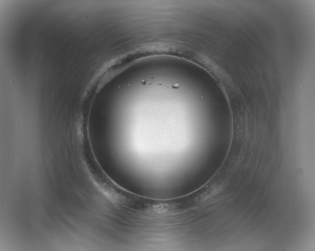 X0000067330064200603311111