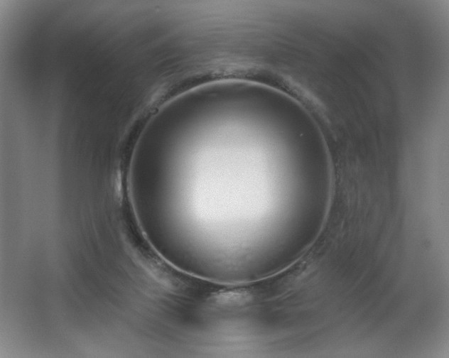 X0000067330067200603311111