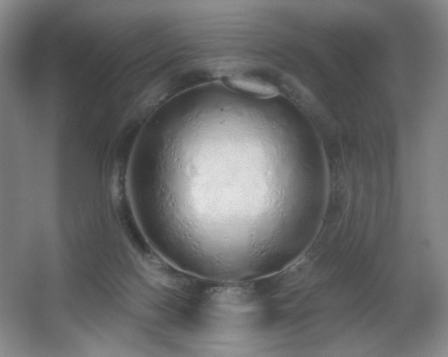 X0000067330074200603311111