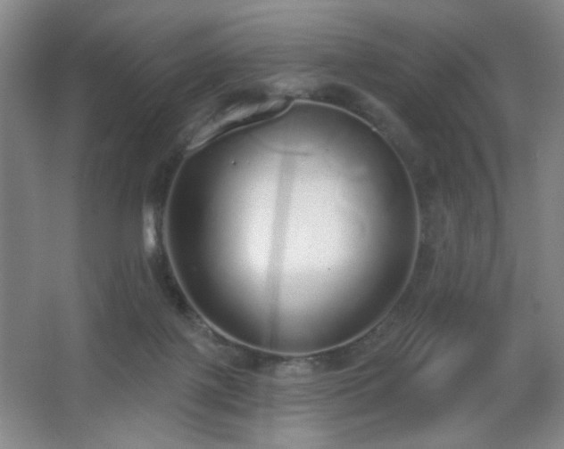 X0000067330075200603311111