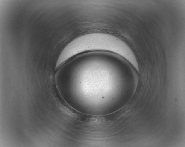 X0000067330077200603311111