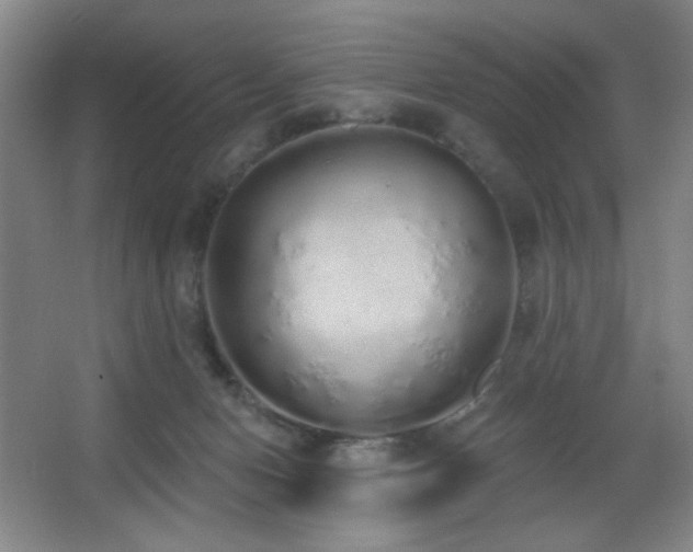 X0000067330078200603311111