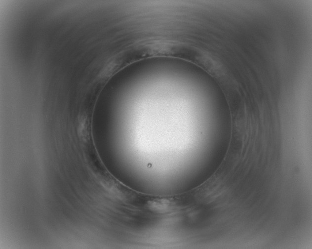 X0000067330079200603311111
