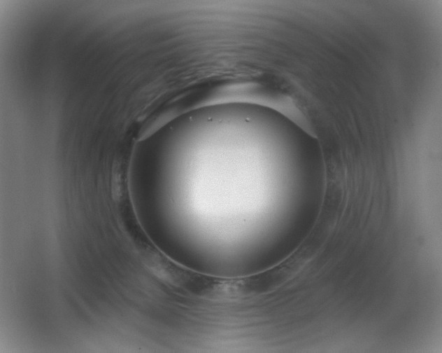 X0000067330080200603311111