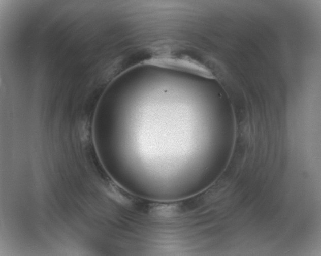 X0000067330081200603311111