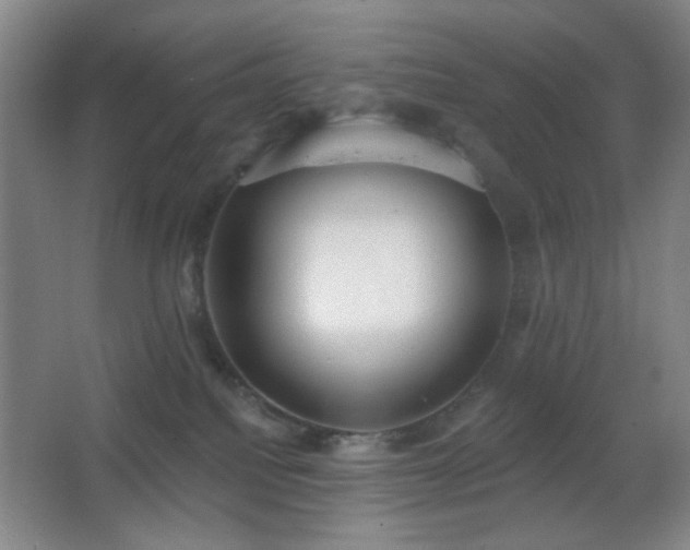 X0000067330088200603311111