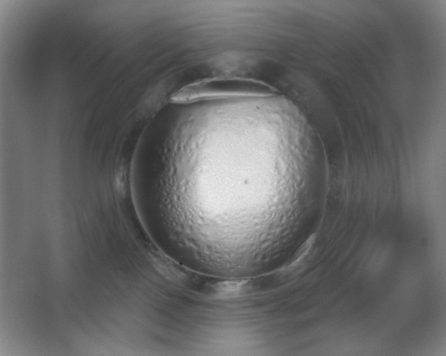 X0000067330090200603311111