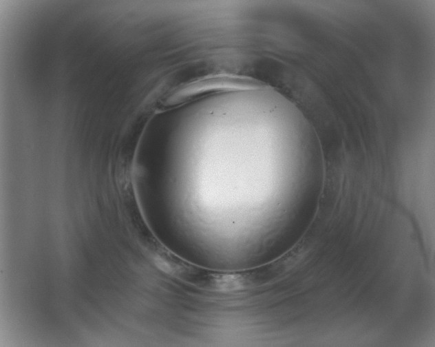 X0000067330091200603311111