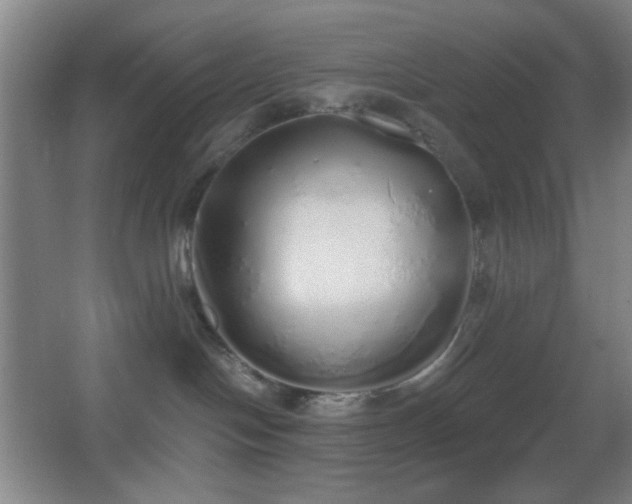 X0000067330094200603311111