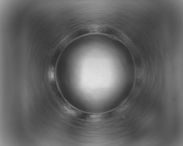 X0000067330095200603311111