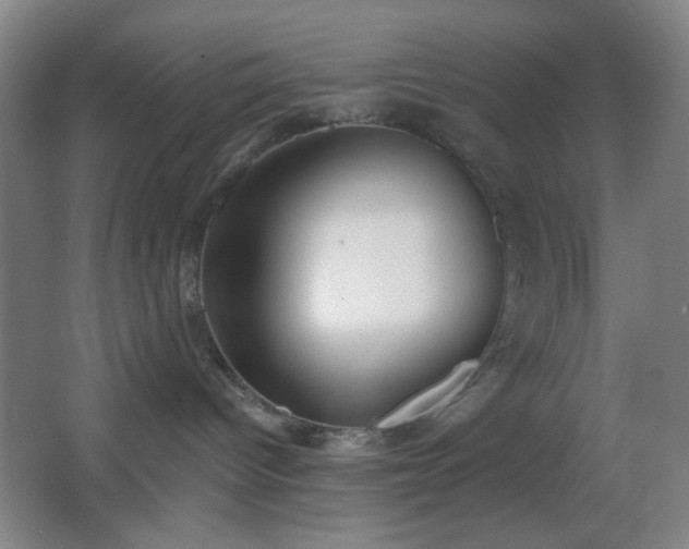 X0000067330096200603311111