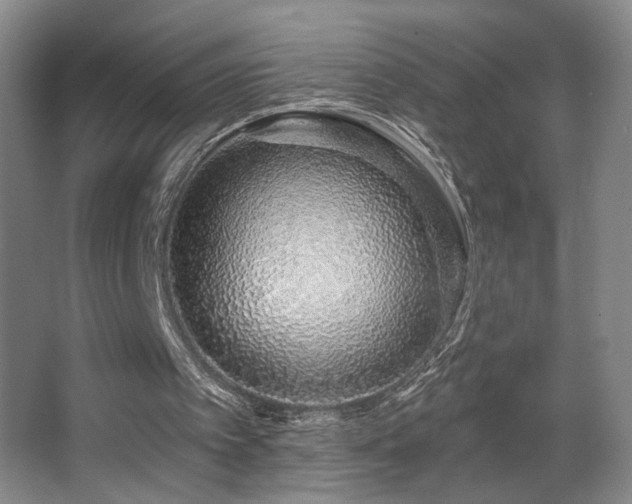X0000067330097200603311110