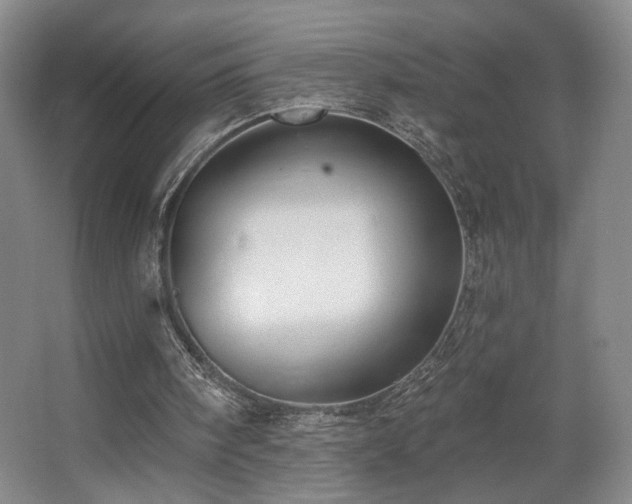 X0000067330098200603311110