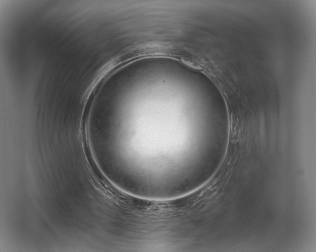 X0000067330099200603311110