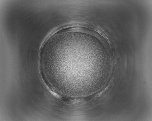 X0000067330101200603311110