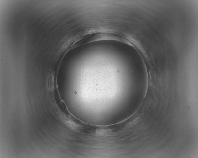 X0000067330109200603311110