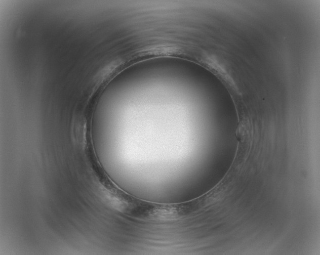 X0000067330110200603311110