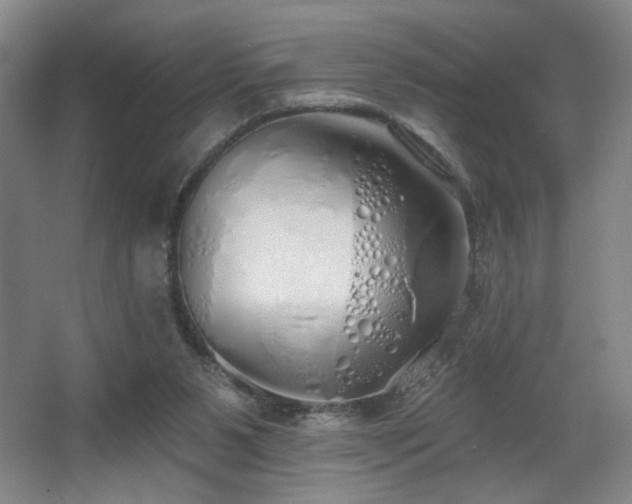 X0000067330111200603311110