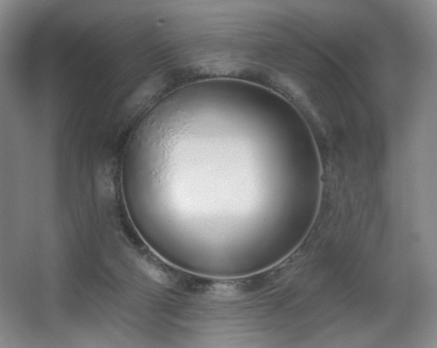 X0000067330114200603311110