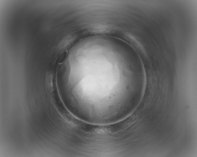 X0000067330115200603311110