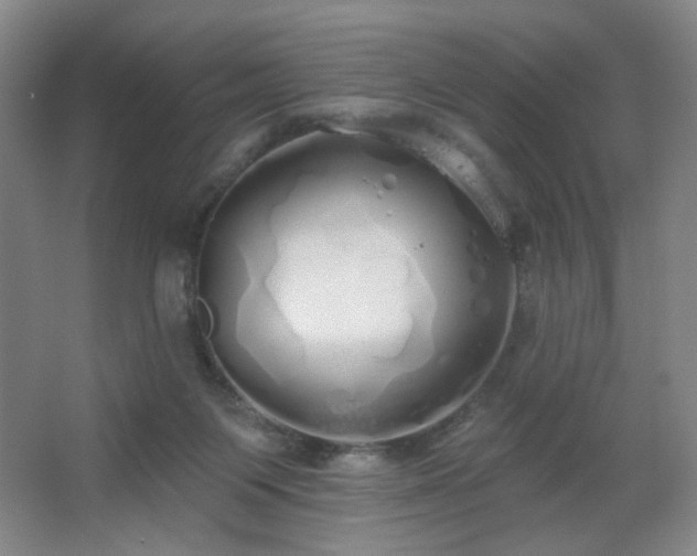 X0000067330119200603311110