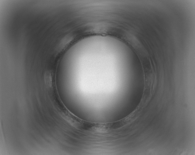 X0000067330120200603311110