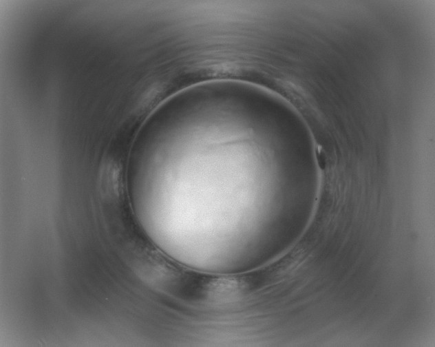 X0000067330123200603311110