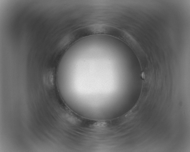 X0000067330124200603311110