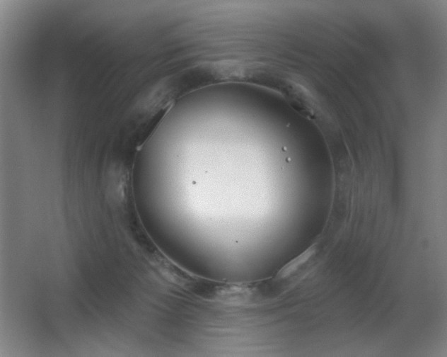 X0000067330125200603311110