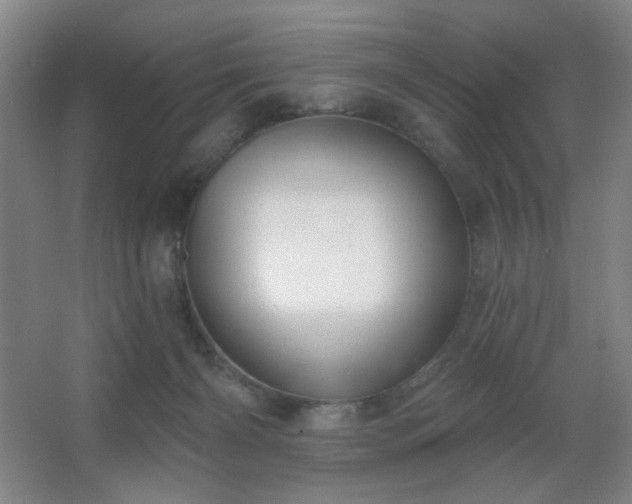 X0000067330126200603311110