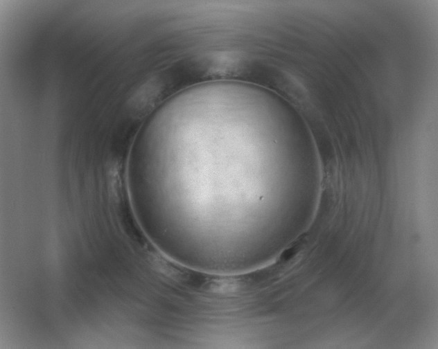 X0000067330127200603311110