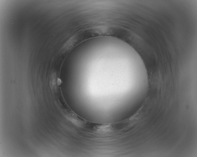 X0000067330132200603311110