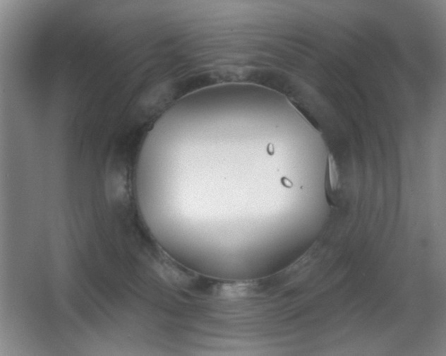 X0000067330134200603311110