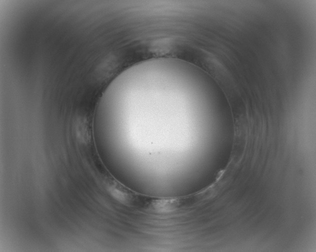 X0000067330136200603311110